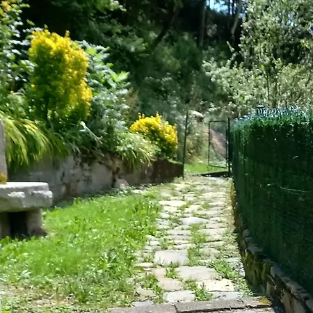 Apartament Apartment