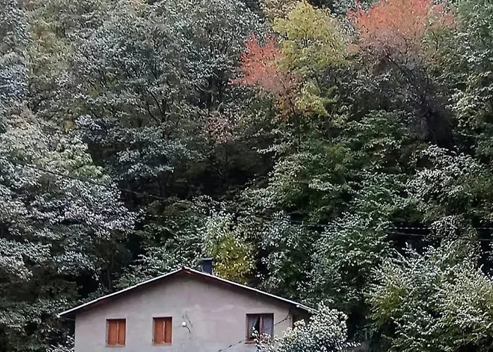 Apartamento Apartamento Capdella